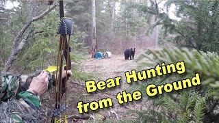 Bowhunting Bears from the ground (Complete Pass thru)
