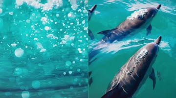 Summer Dynamic Opener | After Effects Project Files - Videohive template