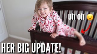 UH OH, TIME FOR A NEW BED! / Update on Stella's Hematoma & HairPulling