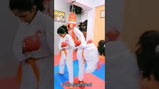 The Karate Girl The Masters Academy Of Martial Arts