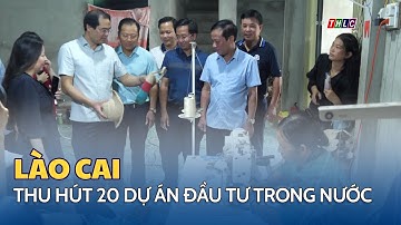 Lào Cai thu hút 20 dự án đầu tư trong nước | THLC