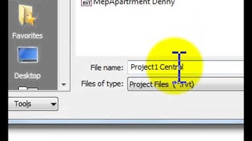 Revit Central Model