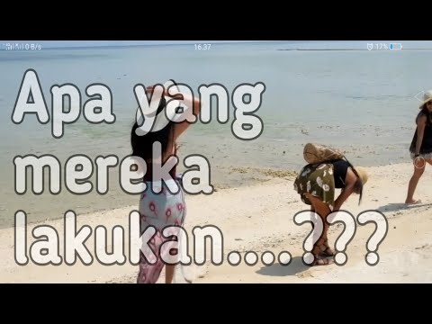 REMAJA REMAJA CANTIK DI PANTAI YANG SEPI?? Wik wik wik