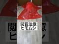 【閲覧注意】ヒモムシの実態/[parody] The actual situation of ribbonworm #shorts #ribbonworm