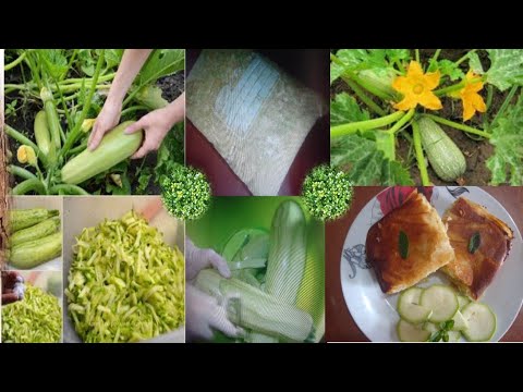 Βίντεο: Πώς να φυλάσσετε τα κολοκύθια
