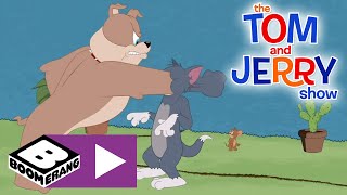 The Tom and Jerry Show | A Treehouse Divided | Boomerang UK Resimi