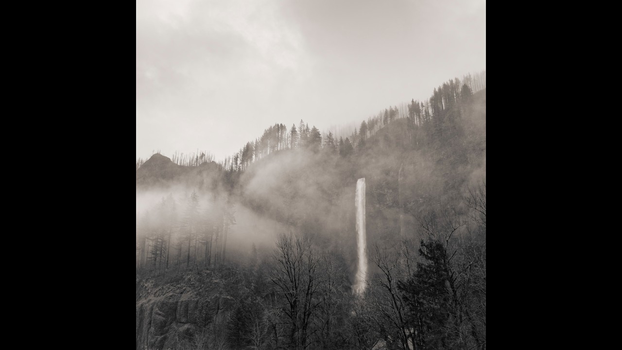 Полнокадровые камеры Sony, камеры Fuji APS-C или системы OM? Что??