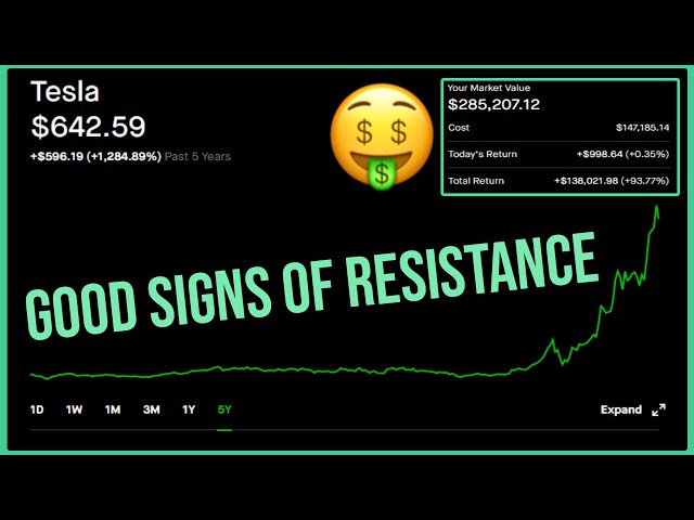 Tesla Stock Recovers After S&P 500 Inclusion - Robinhood Investing