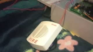 Simplex TrueAlert 4901-9853 addressable horn test.