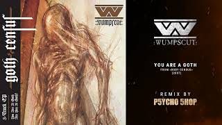 : WUMPSCUT : You are a goth (P5ycho 5hop mix)