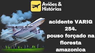 Acidente VARIG 254. Pouso forçado na floresta.