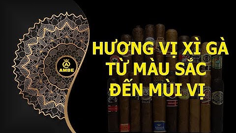 Cảm nhận các hương vị xì gà từ màu sắc đến mùi vị | Những điều thú vị về cigar #10 | Ambe.vn