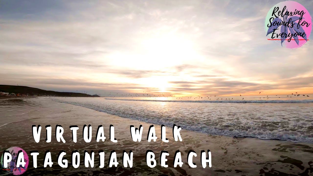 Nature Soundscape - Beach Walk at Morning (Patagonia)