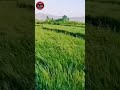 دکلمه زیبا با صدای صدف احمدی Jahan Nama Tv 