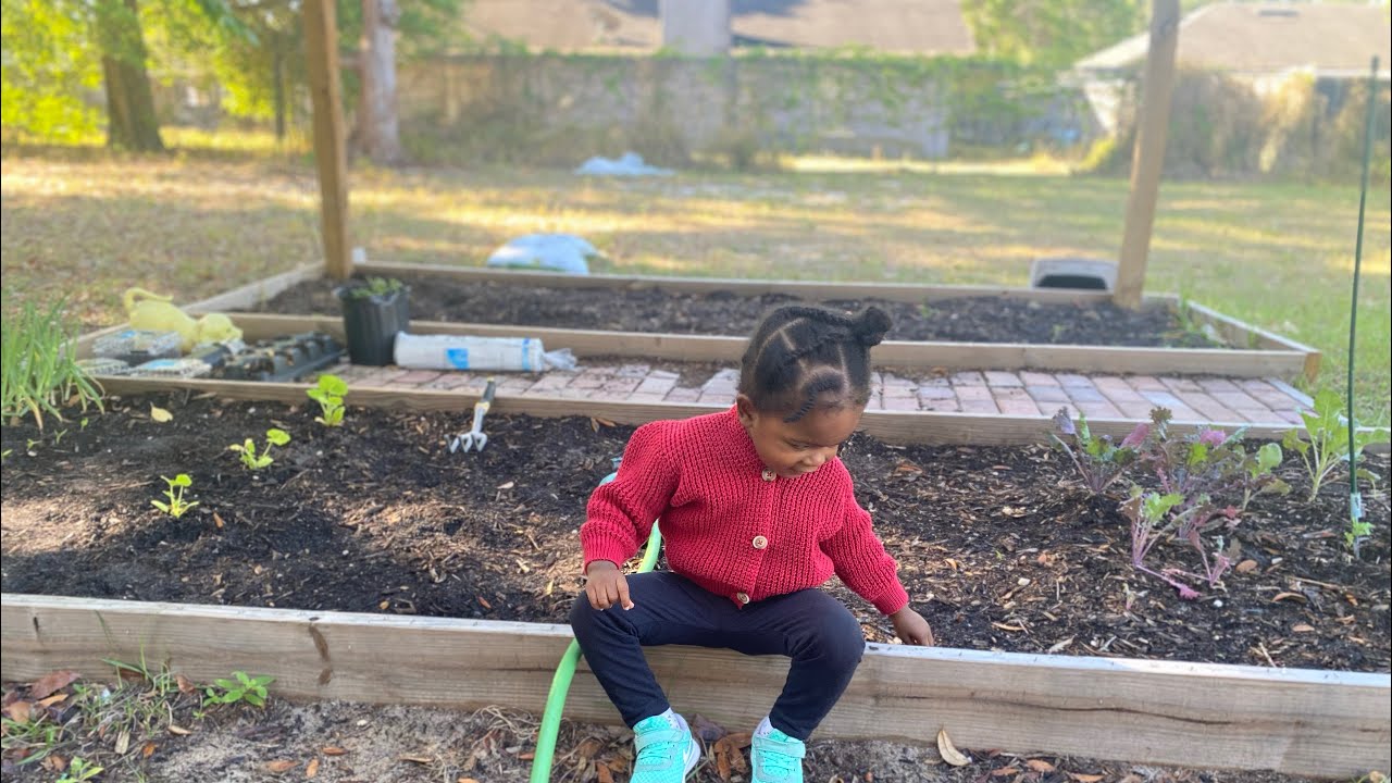 Creating A Self Sufficient Garden #40| Garden Update Tour #gardening # ...