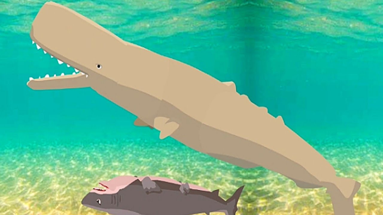 Killer White Shark vs Sperm whale vs Epic Orca - android gameplay - YouTube