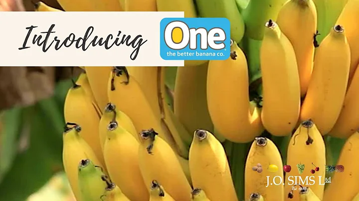 One Banana - J.O. Sims Ltd