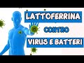 COMBATTI LE INFEZIONI DA VIRUS E BATTERI CON LA LATTOFERRINA!