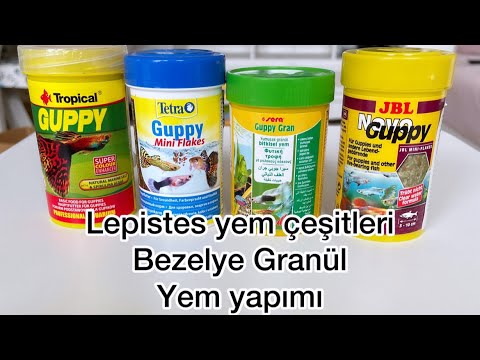 Lepistesler Hangi Yemleri