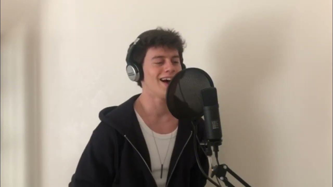 Vanish Into You (Lady Gaga cover)