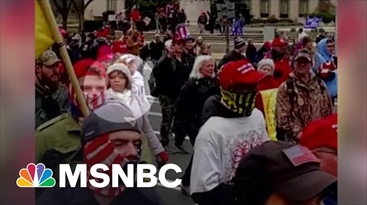 Photos Show Kathy Barnette Marching At Capitol On ...