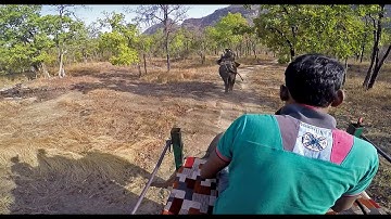 Addressing carnivore-human conflict - Wildlife Conservation Trust