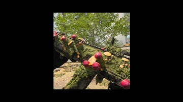 Unlimited mushrooms in warzone mw3 #mw3 #warzone #cod #callofduty