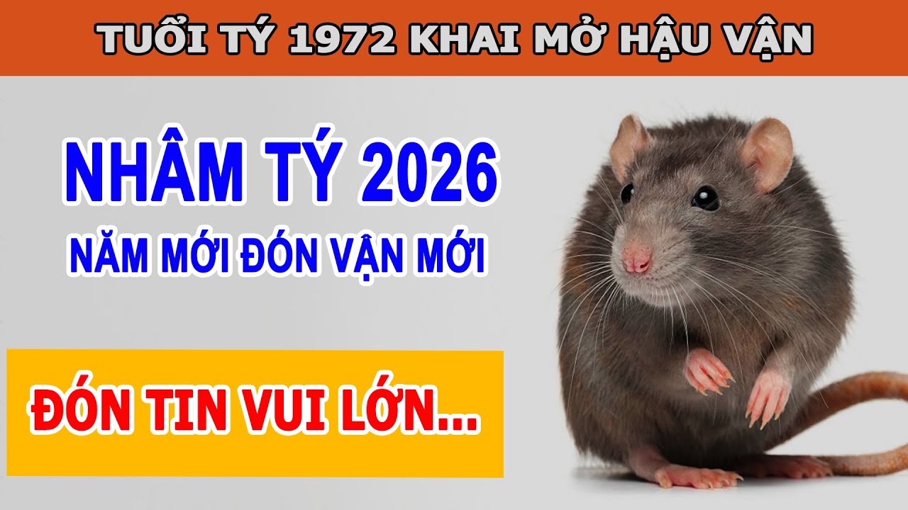 Tử Vi 2026 Tuổi Nhâm Tý 1972 Khai Mở Hậu Vận Một Năm Quan Trọng - Tử Vi Cổ Học