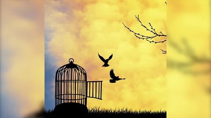 Jack Kornfield – Heart Wisdom – Ep. 51 – Identity and Freedom