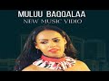 MULUU BAQQALAA OROMO MUSIC NEW 2025 