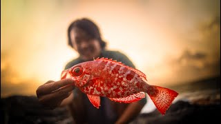 My favorite fried fish in Hawaii! | Catch and Cook!