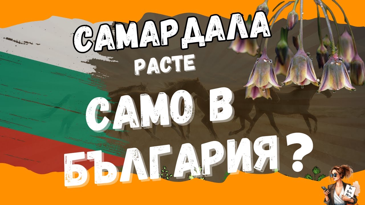 Самардала – българската билка с древна история и лечебни тайни/Samardala – the Bulgarian herb