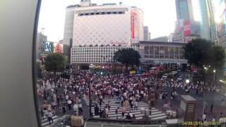 Shibuya Crossing + Lost&Found at Starbucks