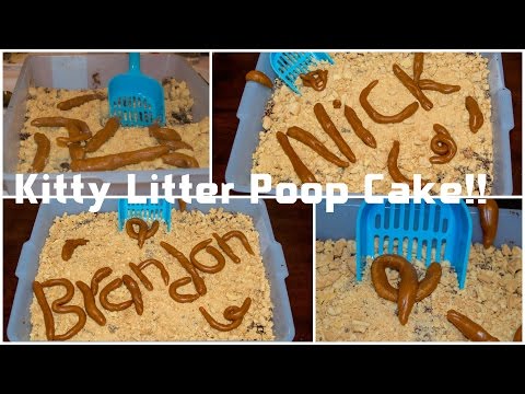 Kitty Litter Poop Cake!