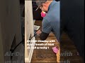 Emergency plumbing, plumber near me, North Shore, Northwest suburbs of Chicago, IL