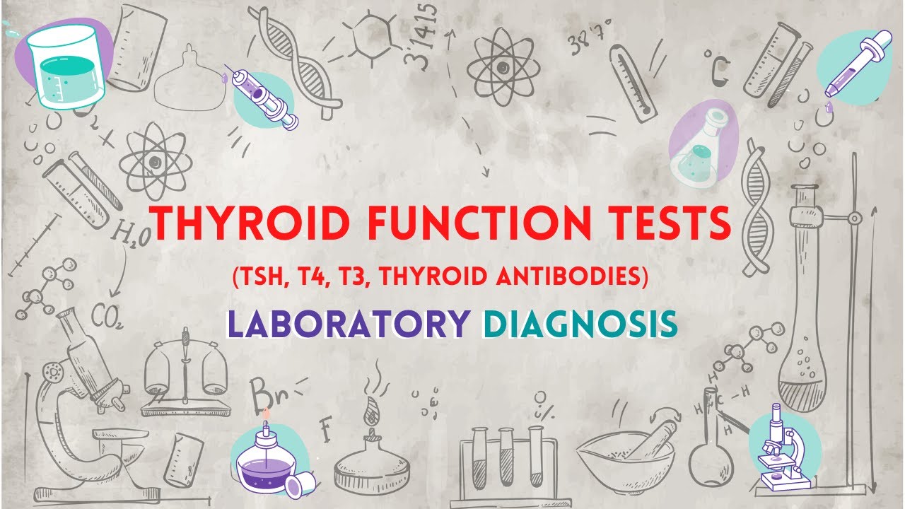 Thyroid Function Tests (TSH, T4, T3, Thyroid Antibodies) تحاليل وظائف الغدة الدرقية YouTube