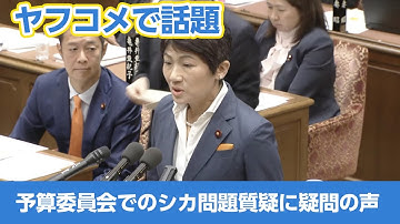 【ヤフコメで話題】「予算委員会でのシカ問題質疑に疑問の声」「国民生活に直結した議論を求める意見」 - 立憲民主党・西村議員の国会質問に批判相次ぐ
