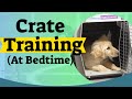 How to Crate Train A Puppy At Night - Crate training for puppies