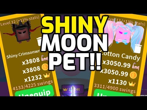I Got The New Shiny Moon Pet In Saber Simulator Update Roblox Youtube - i got the best shiny moon pet and best class in roblox saber