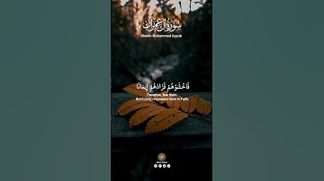 القارئ الشيخ محمد ايوب سورة ال عمران #اكسبلور #قرآن #السعودية