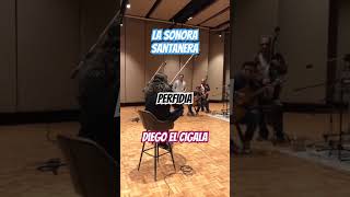 Perfidia Diego el Cigala #sonorasantanera #music