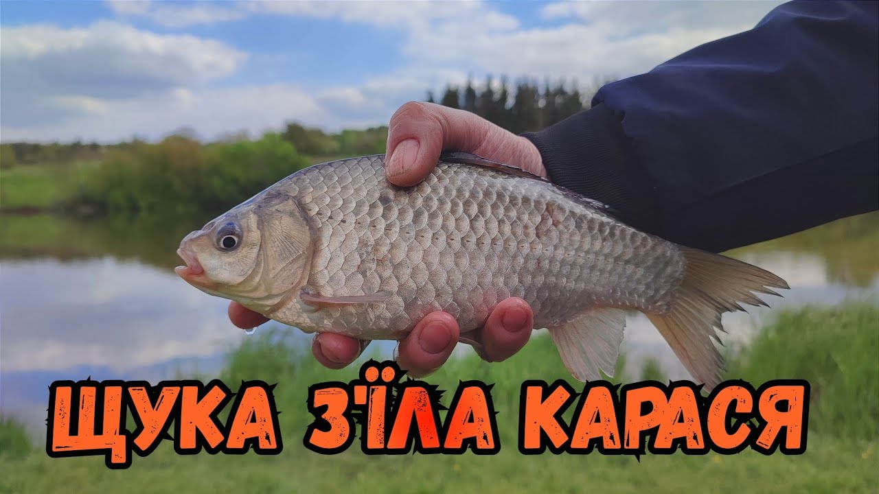 Риболовля в Переорках біля Вінниці