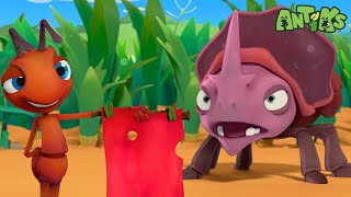 Matador! | Funny Cartoons For All The Family! | Funny Videos for kids | ANTIKS 🐜🌿