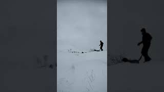 Rottweiler And Staffie Snow Sliding