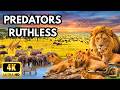 DEADLY SILENCE: The Invisible Predators of Africa's Rivers [Full Documentary]
