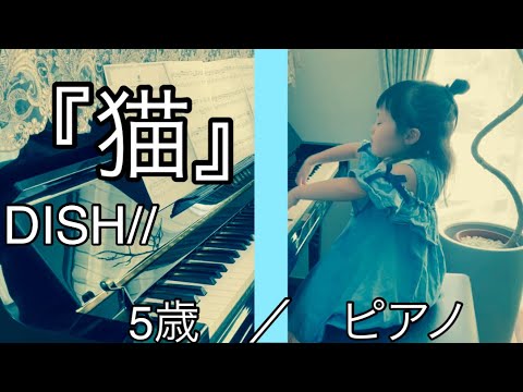 【DISH//『猫』】を5歳が【リクエスト】にこたえて弾いてみた❗️ 簡単、初級、ゆっくり