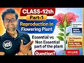 REPRODUCTION IN FLOWERING PLANT || CLASS -12th || PART-1 || 