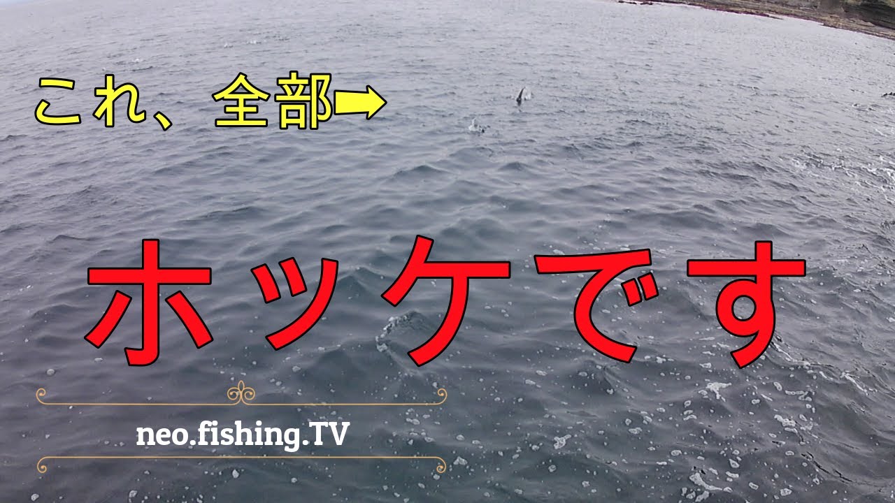 【北海道釣り】ホッケの巣窟、江差地区釣り