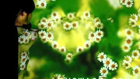 RichTech interactive effect-butterflywedding