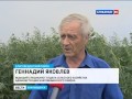 Борьба с коноплей в Благовещенском районе